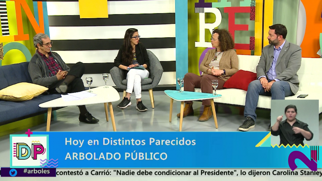 imagen Distintos Parecidos | Temporada 3 | Programa 153: Arbolado Público
