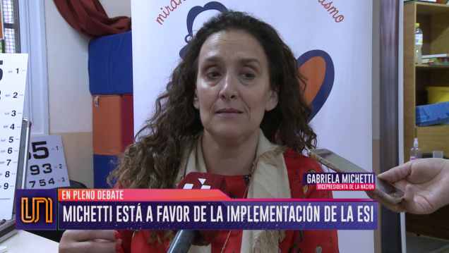 imagen Michetti y sus condiciones sobre la implementación de la ESI