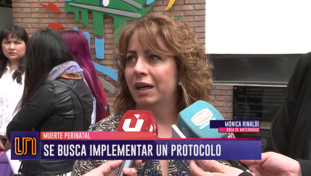 imagen Muerte perinatal: buscan implementar un protocolo