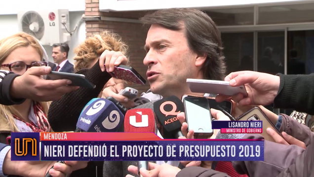 imagen Nieri defendió el proyecto de Presupuesto 2019