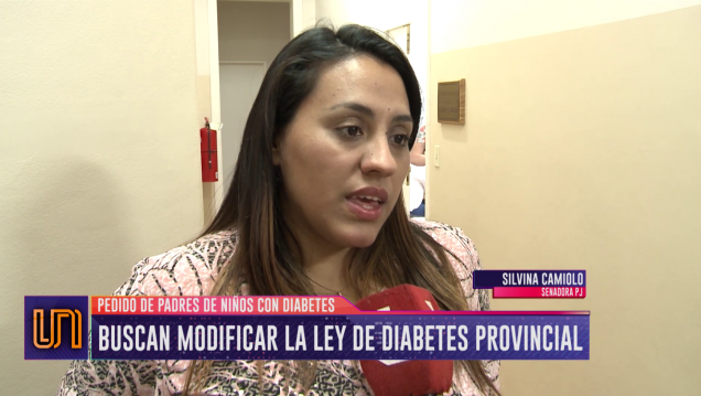 imagen Analizan proyectos para contener a los chicos con diabetes 