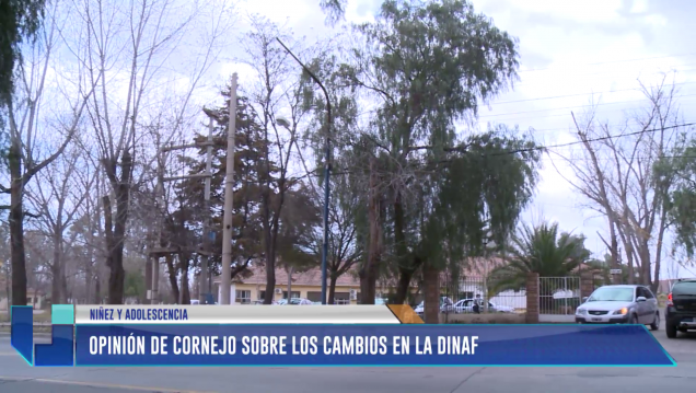 imagen Cornejo opinó sobre los cambios en la DINAF