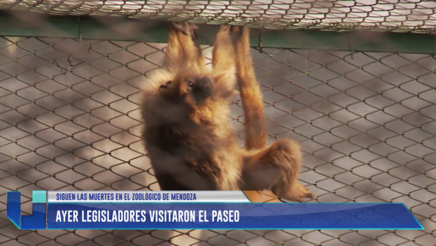 imagen Legisladores visitaron el zoológico de Mendoza