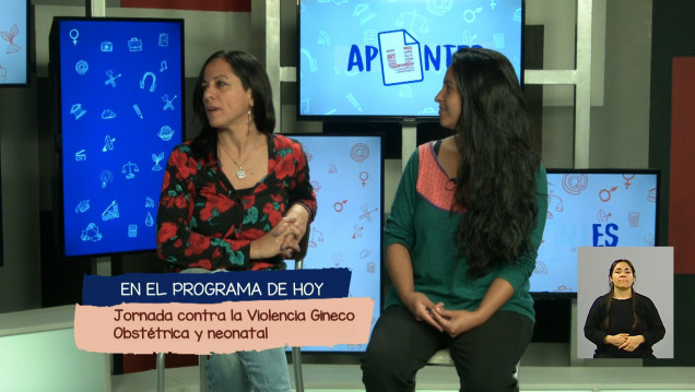imagen "Basta de violencia gineco-obstétrica y neonatal"