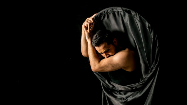 imagen La Compañía Experimental Los Toritos presenta "El monstruo está en nosotros"