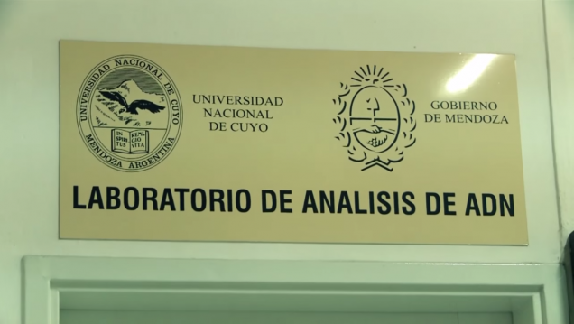 imagen 20 de julio