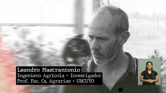 imagen "Entretanto" #27: Cannabis medicinal en Mendoza