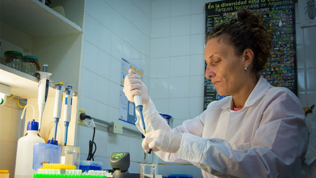 imagen ADN y biodiversidad: contribuciones de la biología molecular a la investigación actual 