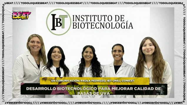 imagen Desarrollan productos biotecnológicos para mejorar la calidad de las pasas de uva