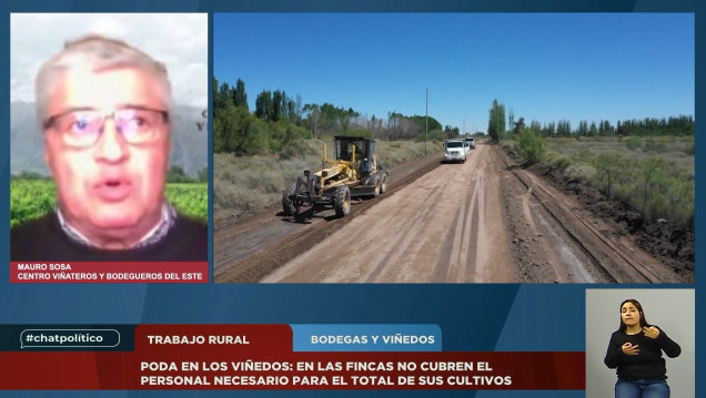 imagen Trabajo rural y el maltrato durante la vejez, son los temas de #Chatpolítico