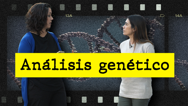imagen Entretanto 06 - Análisis genético