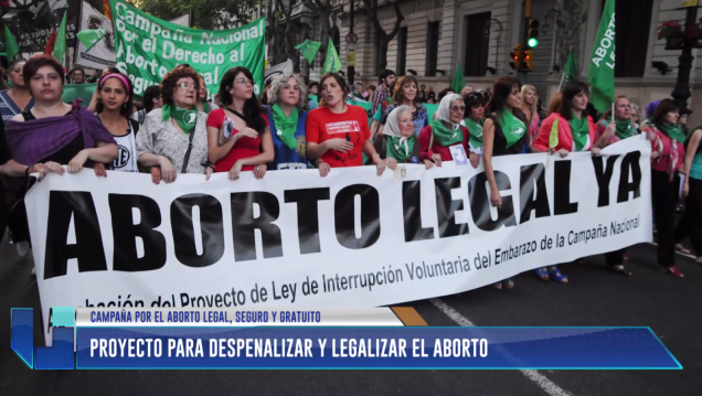 imagen Proyecto para despenalizar y legalizar el aborto