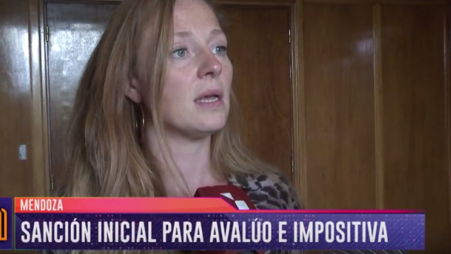imagen Allasino dijo que las leyes de Avalúo e Impositiva no impactarán al bolsillo
