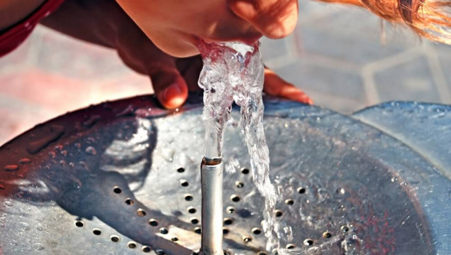 imagen Altas temperaturas: cómo prevenir el golpe de calor en niños