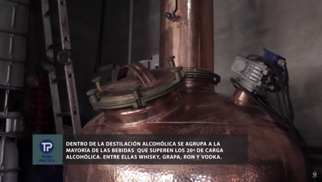 imagen TEORÍA PRÁCTICA | TEMPORADA 3 - CAPÍTULO 20: BEBIDAS DESTILADAS