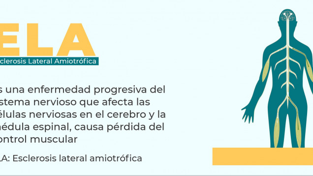 imagen ELA: un encuentro para conocer, tender redes y ofrecer información confiable