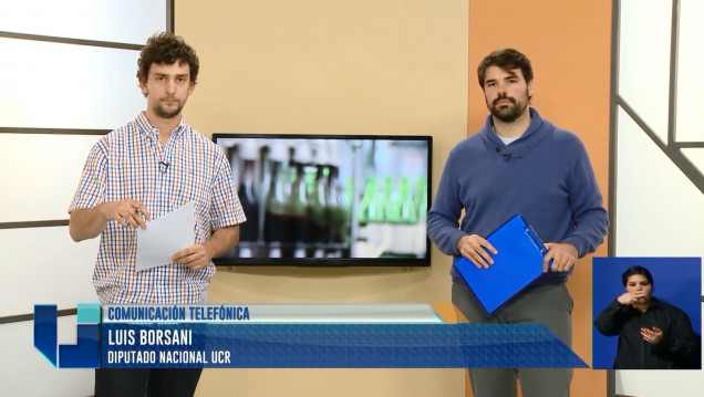 imagen Producción vitivinícola