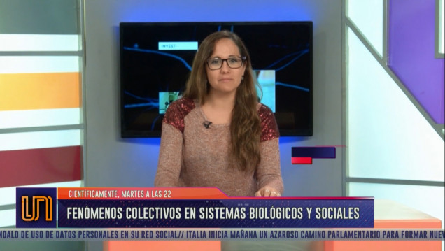 imagen Fenómenos colectivos: la Ciencia también se aplica para resolver problemas comunes