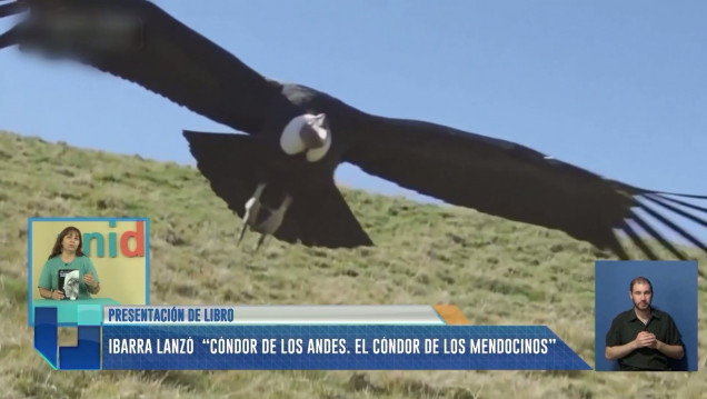imagen Se lanzó el libro "Cóndor de los Andes. El cóndor de los mendocinos"