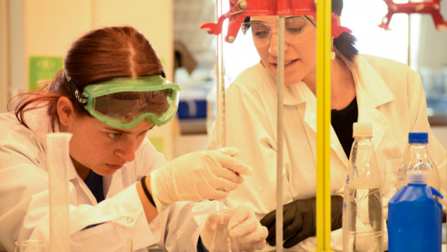 imagen Comenzaron los proyectos de la 6.ª convocatoria de las Prácticas Sociales Educativas