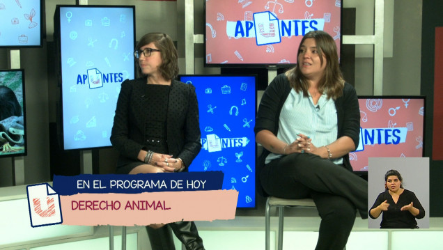 imagen Buscan firmas para seguir impulsando la creación de una fiscalía especializada en Derecho Animal