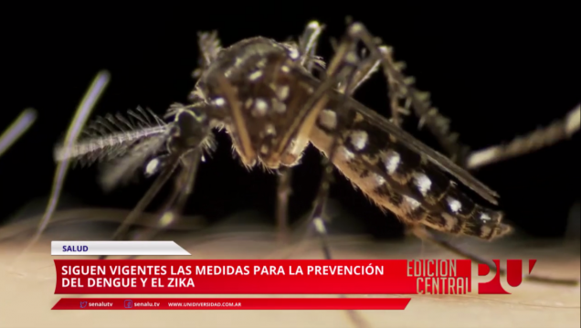 imagen Sigue la prevención frente al dengue y el zika