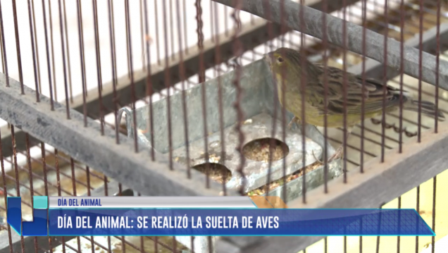 imagen Se realizó suelta de aves por el Día del Animal