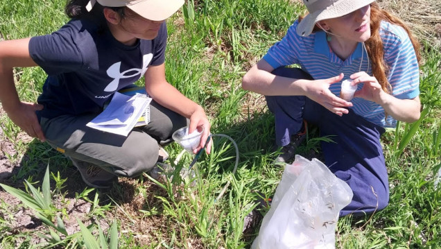 imagen Proyecto Mauricio López "Rediseñar para transformar. La biodiversidad como herramienta de autonomía campesina": entrevista a Lucia Agostinelli y Martina Burgos, estudiantes de agronomía de la UNCUYO