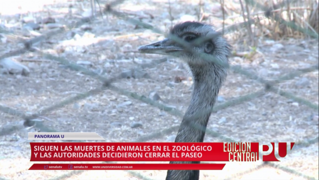 imagen Cerrará el Zoológico de Mendoza