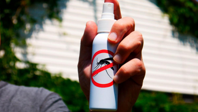 imagen "El dengue quedará como enfermedad endémica porque Argentina se está tropicalizando"