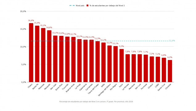 imagen En las escuelas argentinas, 1 de cada 10 chicos y chicas no sabe leer