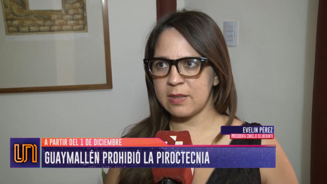 imagen Guaymallén prohibe definitivamente el uso de pirotecnia