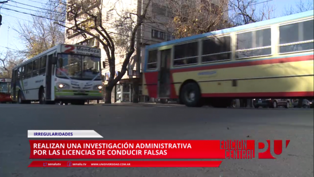 imagen Avanza la pesquisa por carnets de conducir truchos