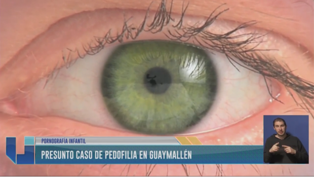 imagen Allanamiento en Guaymallén por pornografía infantil