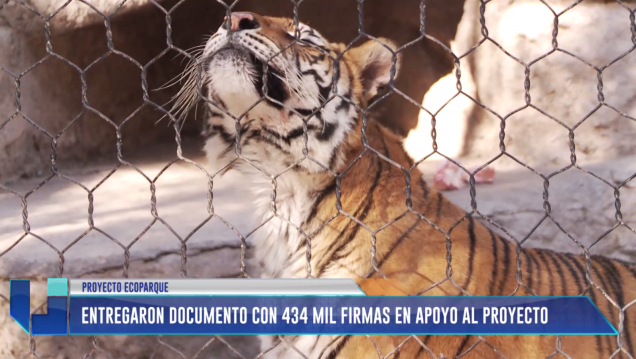 imagen Presentaron en la Legislatura más de 400 mil firmas a favor del Ecoparque