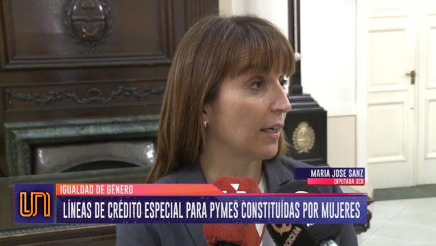 imagen Proyecto para fortalecer a pymes constituidas por mujeres