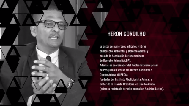 imagen Señal Ú Academico T.V. - Capitulo 04
