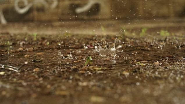 imagen ¿Qué es ese olor que sentimos cuando llueve?