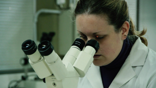 imagen Instituto de Histología y Embriología
