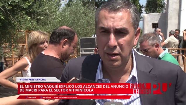 imagen ¿Cuáles son los alcances de los subsidios al sector vitivinícola?