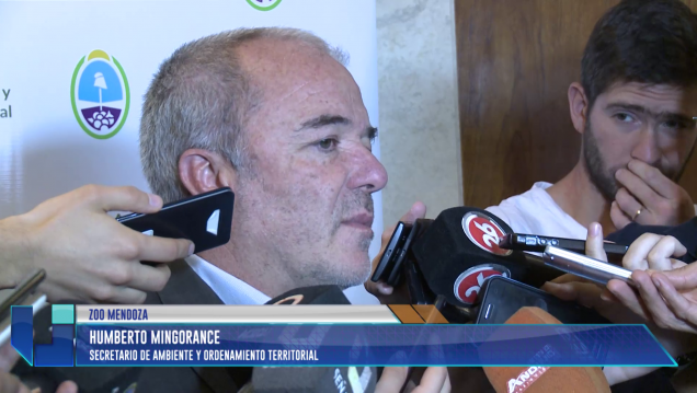 imagen La mona Cecilia será trasladada a una reserva