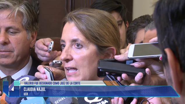 imagen La voz de los senadores sobre la elección de Valerio como Juez de la Corte