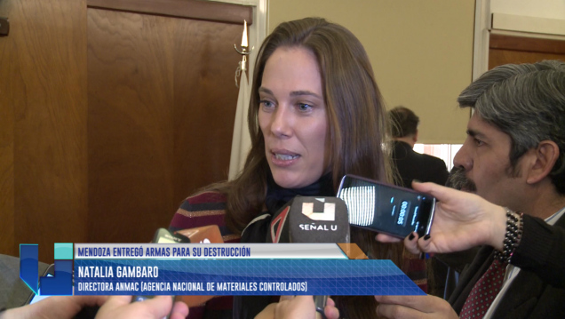 imagen Mendoza entregó 7 mil armas para su destrucción