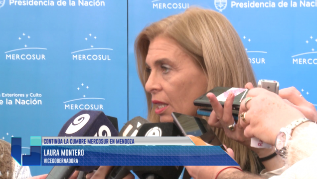 imagen Cadenas regionales de valor