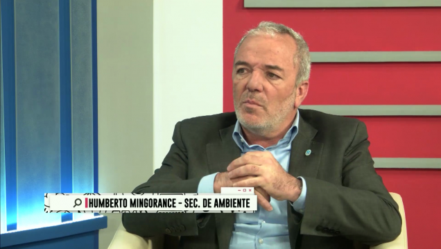 imagen #ChatPolítico | Temporada 1 | Programa 16: Humberto Mingorance