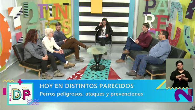 imagen DISTINTOS PARECIDOS | TEMPORADA 2 | PROGRAMA 27: Tenencia responsable de mascotas