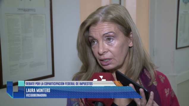 imagen Coparticipación federal: ¿Qué busca Mendoza?