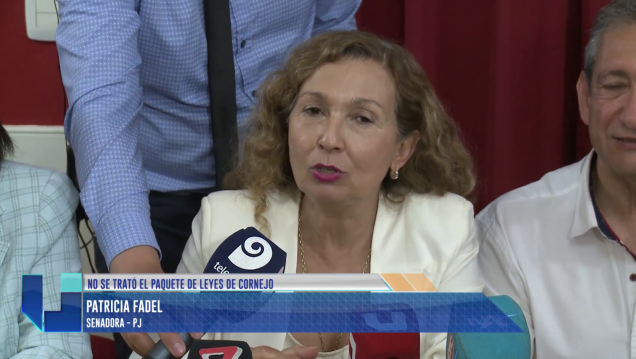 imagen Fadel sobre la falta de quórum: "Cornejo quiere seguir sumando poder"