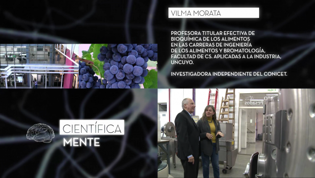 imagen Científicamente | Programa 12 | Factores que alteran el proceso de fermentación en el vino