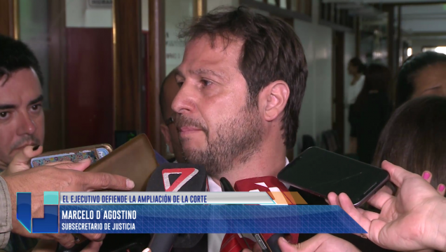 imagen D"Agostino: "Si no ampliamos la Corte, entraríamos en un colapso"